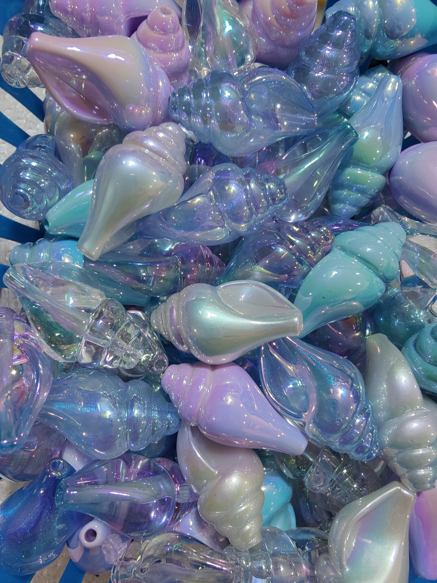 Seashells