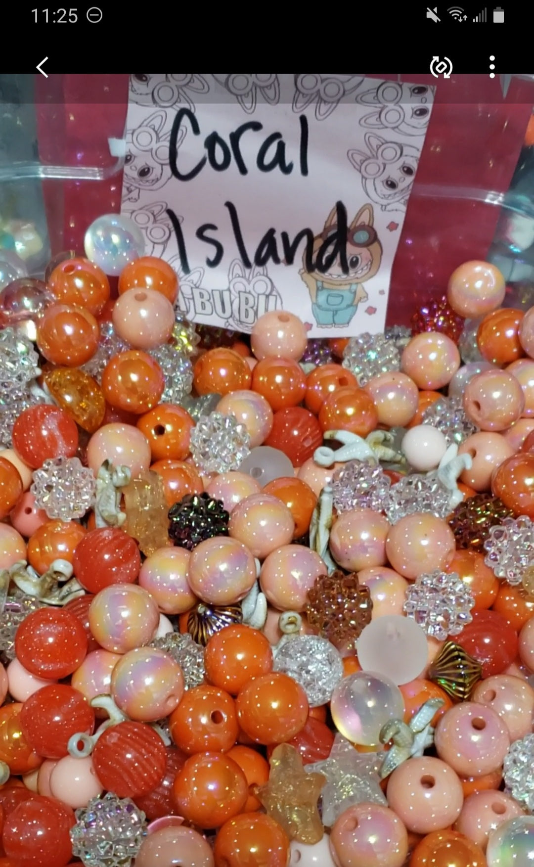 Coral Island Bead Mix