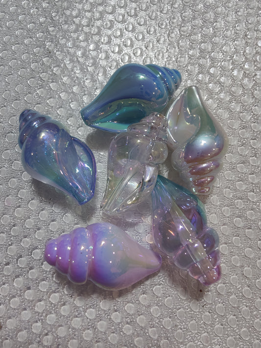 Seashells